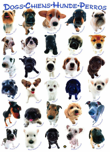 Puzzle Perros - Banbury Arte